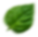 Vector